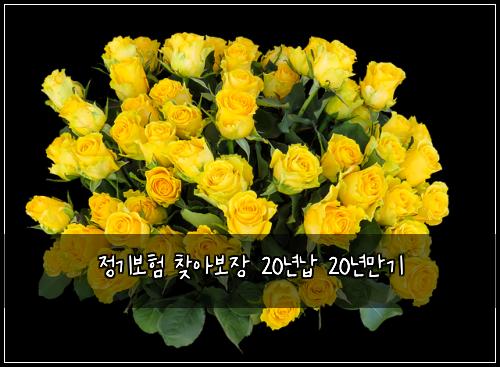 정기보험 찾아보장  20년납 20년만기