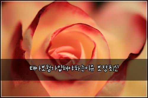 태아보험가입해야하는이유 보장최신