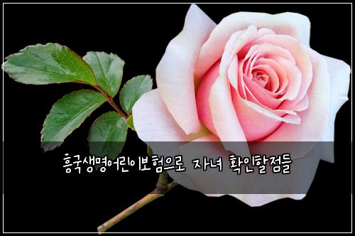 흥국생명어린이보험으로 자녀 확인할점들