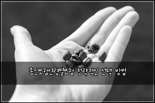 종신보험연령별보험 전략적인 선택 방법