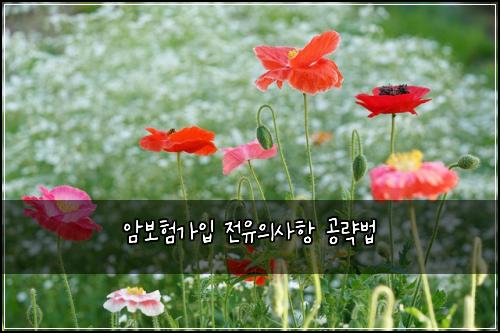 ์๋ณดํ๊ฐ์
์ ์ ์์ฌํญ ๊ณต๋ต๋ฒ