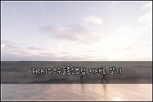 허리디스크수술종신보험 제대로 알기