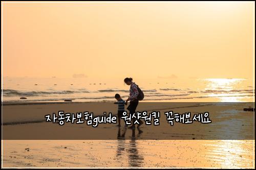 자동차보험guide 원샷원킬 꼭해보세요