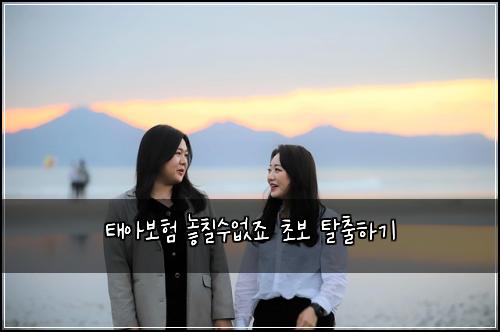 태아보험 놓칠수없죠  초보 탈출하기