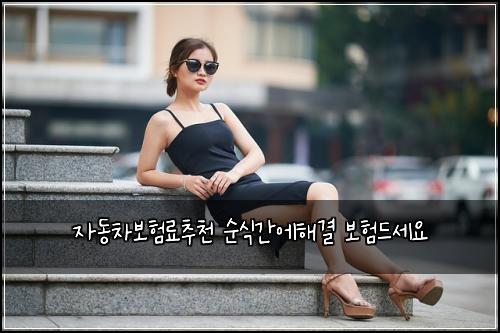 ์๋์ฐจ๋ณดํ๋ฃ์ถ์ฒ ์์๊ฐ์ํด๊ฒฐ ๋ณดํ๋์ธ์