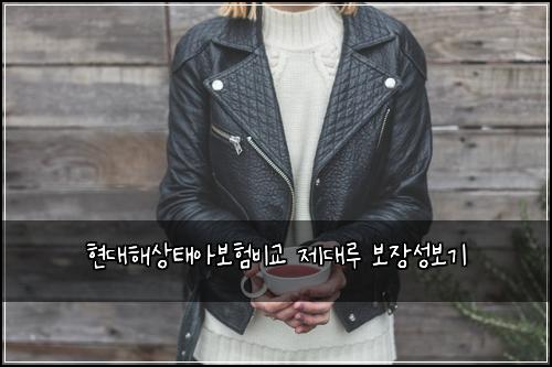 현대해상태아보험비교 제대루 보장성보기
