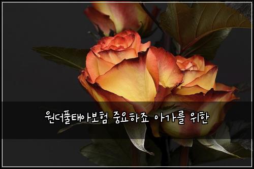 원더풀태아보험 중요하죠  아가를 위한