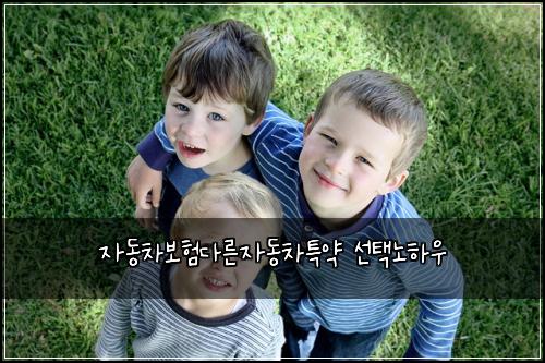 ์๋์ฐจ๋ณดํ๋ค๋ฅธ์๋์ฐจํน์ฝ ์ ํ๋
ธํ์ฐ
