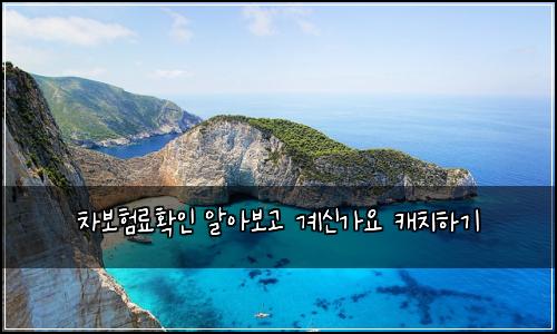 차보험료확인 알아보고 계신가요 캐치하기