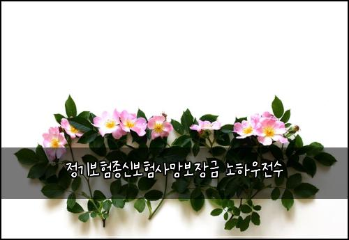 ์ ๊ธฐ๋ณดํ์ข
์ ๋ณดํ์ฌ๋ง๋ณด์ฅ๊ธ ๋
ธํ์ฐ์ ์