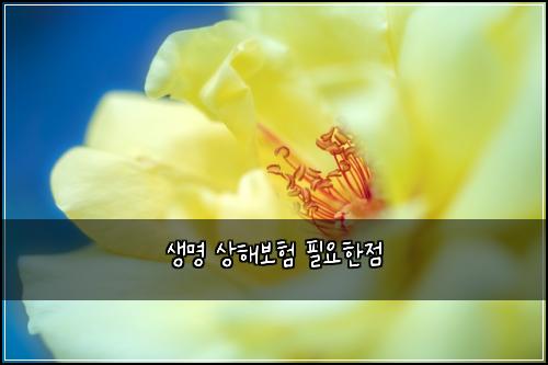 생명 상해보험 필요한점 