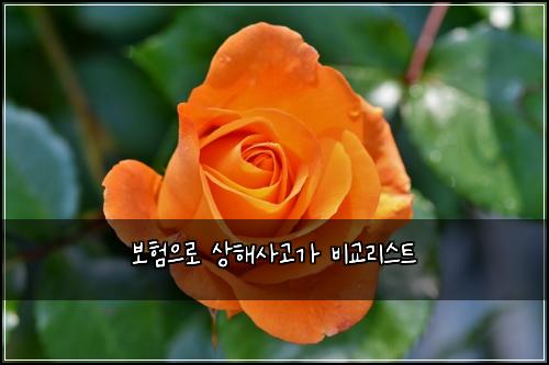 ๋ณดํ์ผ๋ก ์ํด์ฌ๊ณ ๊ฐ ๋น๊ต๋ฆฌ์คํธ