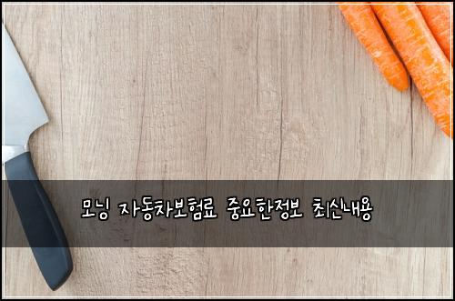 모닝 자동차보험료 중요한정보 최신내용