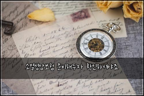 ์๋ฉธ์ฑ์๋ณดํ ์ค๋นํด๋์ ํ์ธํ์
์ผ์ฃ