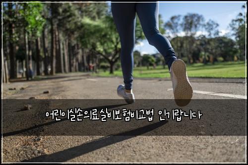 ์ด๋ฆฐ์ด์ค์์๋ฃ์ค๋น๋ณดํ๋น๊ต๋ฒ ์ธ๊ธฐ๋๋๋ค