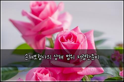 ์ํด๋ณดํ์ฌ์ ์ํด ๋ฒ์ ์ ๋ ดํ์ค๋น