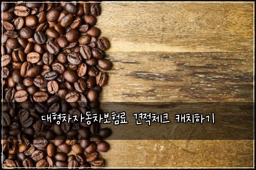 ๋ํ์ฐจ์๋์ฐจ๋ณดํ๋ฃ ๊ฒฌ์ ์ฒดํฌ ์บ์นํ๊ธฐ