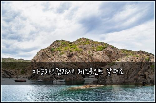 ์๋์ฐจ๋ณดํ26์ธ ์ฒดํฌํฌ์ธํธ ์ดํด์