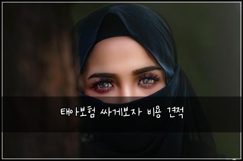 ํ์๋ณดํ ์ธ๊ฒ๋ณด์ ๋น์ฉ ๊ฒฌ์ 