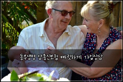 동부생명 암종신보험 빠릿하게  가입상담
