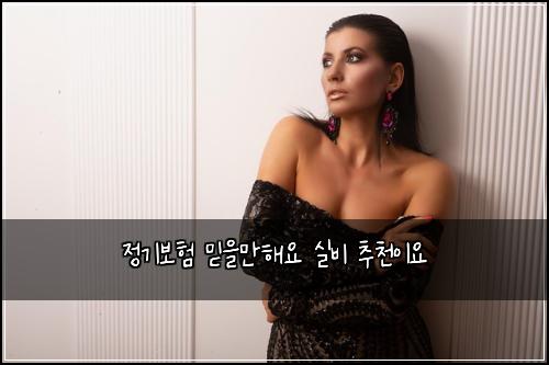 정기보험 믿을만해요  실비 추천이요
