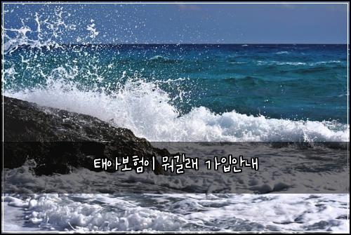 태아보험이 뭐길래 가입안내