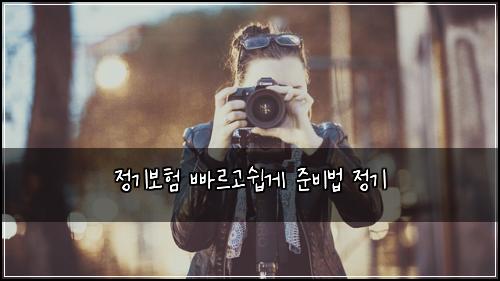 정기보험 빠르고쉽게  준비법 정기