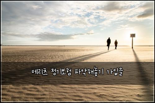 메리츠 정기보험 파악해놓기  가입을