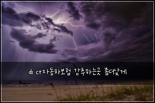 di ct자동차보험 강추하는곳  좀더낮게
