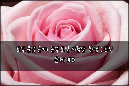 토익 문법 문제 분석 토익 시험장 환경 : 토익 문제 #10