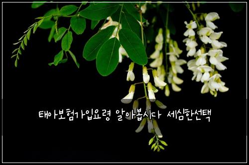 ํ์๋ณดํ๊ฐ์
์๋ น ์์๋ด
์๋ค ์ธ์ฌํ์ ํ