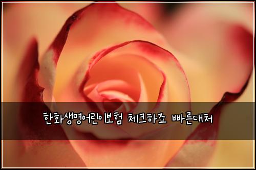한화생명어린이보험 체크하죠  빠른대처