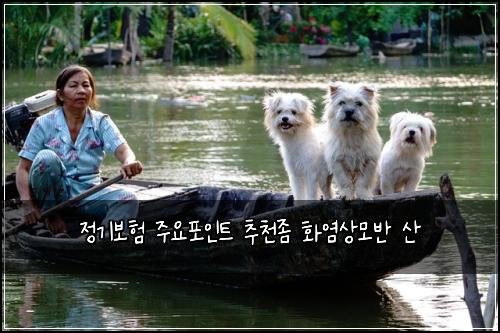 ์ ๊ธฐ๋ณดํ ์ฃผ์ํฌ์ธํธ ์ถ์ฒ์ข ํ์ผ์๋ชจ๋ฐ ์ฐ