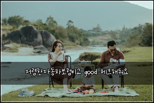 저렴한자동차보험비교 good 체크해둬요