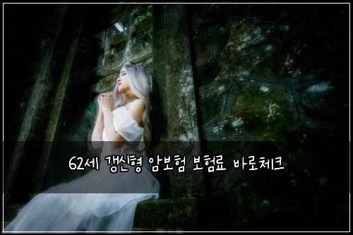 62세 갱신형 암보험 보험료 바로체크