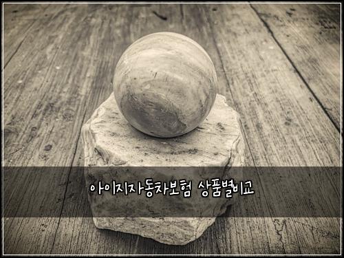 ์์ด์ง์๋์ฐจ๋ณดํ ์ํ๋ณ๋น๊ต