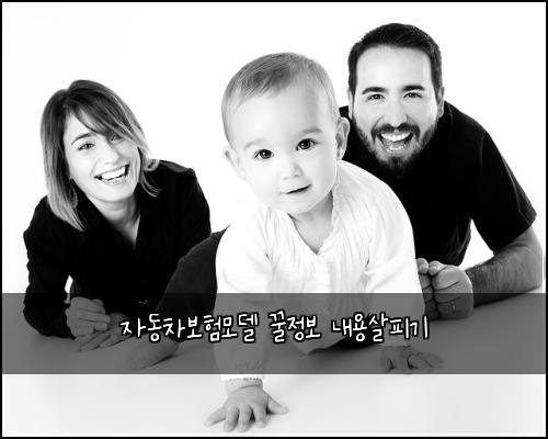 자동차보험모델 꿀정보 내용살피기