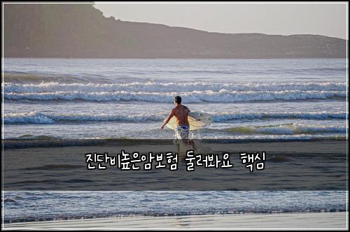 진단비높은암보험 둘러봐요  핵심