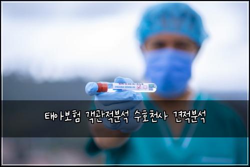 태아보험 객관적분석  수호천사 견적분석