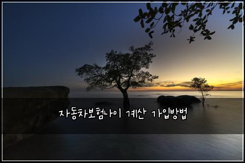 ์๋์ฐจ๋ณดํ๋์ด ๊ณ์ฐ ๊ฐ์
๋ฐฉ๋ฒ