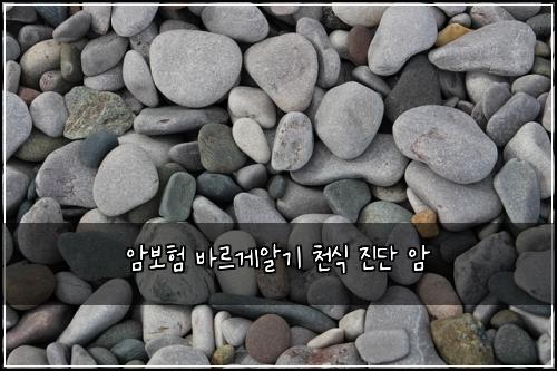 ์๋ณดํ ๋ฐ๋ฅด๊ฒ์๊ธฐ ์ฒ์ ์ง๋จ ์