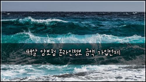 49μ΄ μ보ν μ¨λΌμΈμ 보 κΈμ‘ κ°μ
μΈμ 