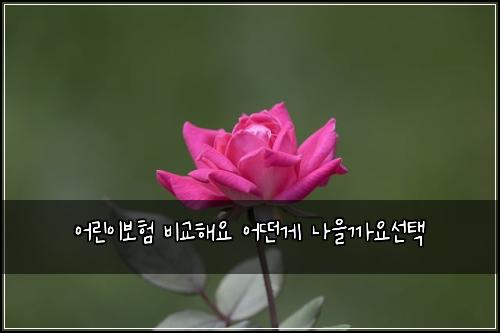 ์ด๋ฆฐ์ด๋ณดํ ๋น๊ตํด์ ์ด๋ค๊ฒ ๋์๊น์์ ํ