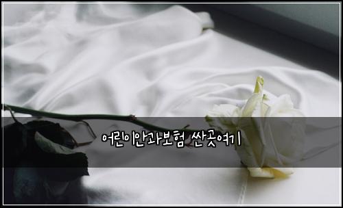 어린이안과보험 싼곳여기 