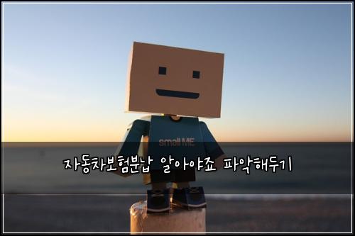 자동차보험분납 알아야죠 파악해두기