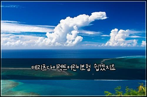 메리츠다이렉트어린이보험 쉽겠지요 
