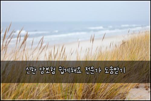 ์ ํ ์๋ณดํ ์ฝ๊ฒํด์ ์ ๋ฌธ๊ฐ ๋์๋ฐ๊ธฐ