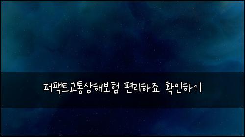 퍼팩트교통상해보험 편리하죠  확인하기