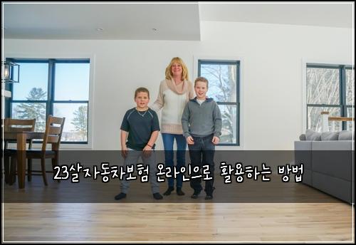 23살자동차보험 온라인으로  활용하는 방법