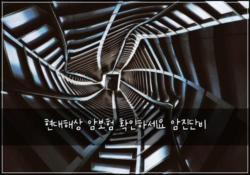 현대해상 암보험 확인하세요  암진단비